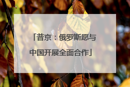 普京：俄罗斯愿与中国开展全面合作
