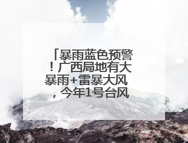 暴雨蓝色预警！广西局地有大暴雨+雷暴大风，今年1号台风最新消息……