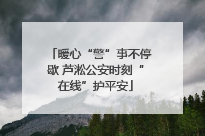 暖心“警”事不停歇 芦淞公安时刻“在线”护平安