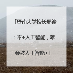 暨南大学校长邢锋：不+人工智能，就会被人工智能+
