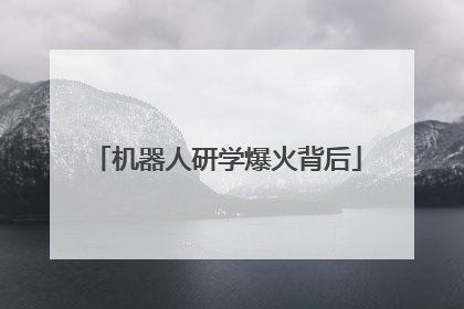 机器人研学爆火背后
