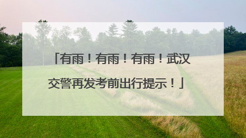 有雨！有雨！有雨！武汉交警再发考前出行提示！