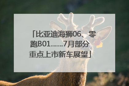 比亚迪海狮06、零跑B01……7月部分重点上市新车展望