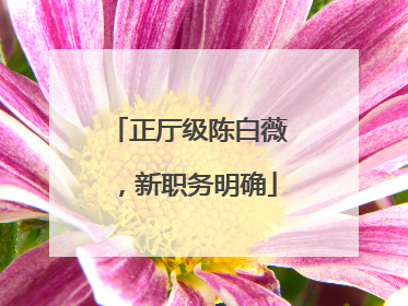 正厅级陈白薇，新职务明确