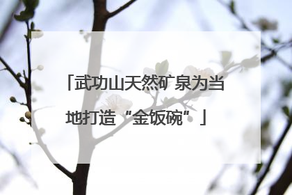武功山天然矿泉为当地打造“金饭碗”