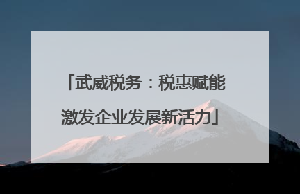 武威税务：税惠赋能 激发企业发展新活力