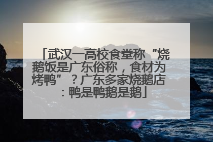 武汉一高校食堂称“烧鹅饭是广东俗称，食材为烤鸭”？广东多家烧鹅店：鸭是鸭鹅是鹅