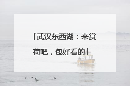 武汉东西湖：来赏荷吧，包好看的
