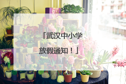 武汉中小学放假通知！