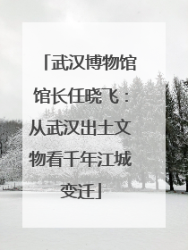 武汉博物馆馆长任晓飞：从武汉出土文物看千年江城变迁