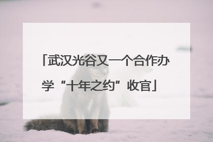 武汉光谷又一个合作办学“十年之约”收官