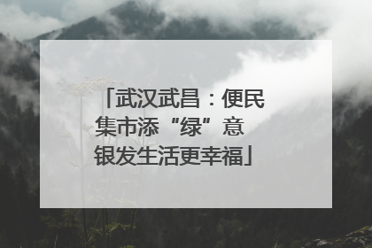 武汉武昌：便民集市添“绿”意 银发生活更幸福