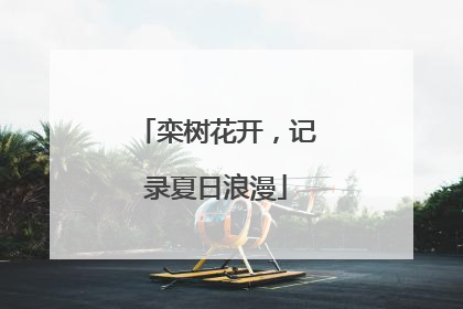 栾树花开，记录夏日浪漫