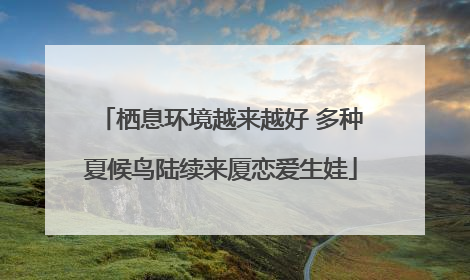 栖息环境越来越好 多种夏候鸟陆续来厦恋爱生娃
