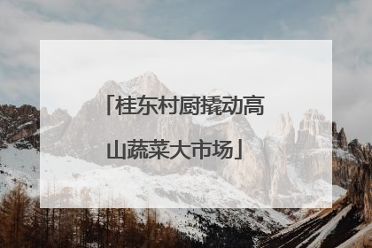 桂东村厨撬动高山蔬菜大市场