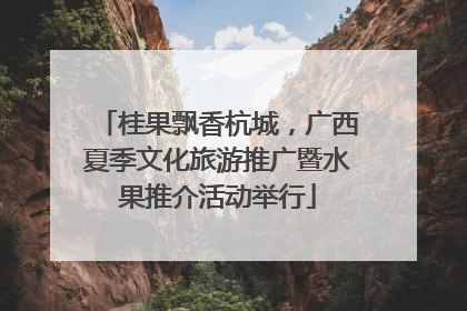 桂果飘香杭城，广西夏季文化旅游推广暨水果推介活动举行