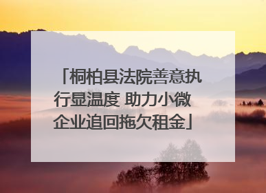 桐柏县法院善意执行显温度 助力小微企业追回拖欠租金