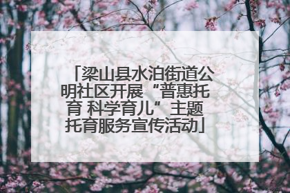 梁山县水泊街道公明社区开展“普惠托育 科学育儿”主题托育服务宣传活动