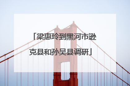梁惠玲到黑河市逊克县和孙吴县调研