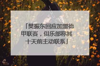 樊振东回应加盟德甲联赛，俱乐部称其十天前主动联系