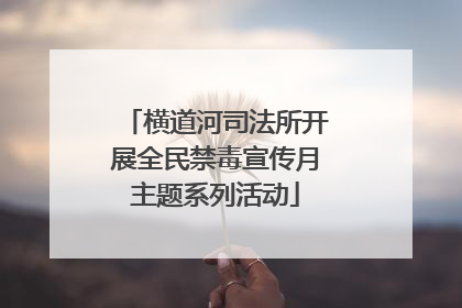横道河司法所开展全民禁毒宣传月主题系列活动