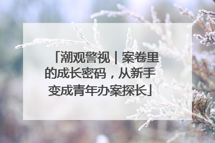 潮观警视｜案卷里的成长密码，从新手变成青年办案探长