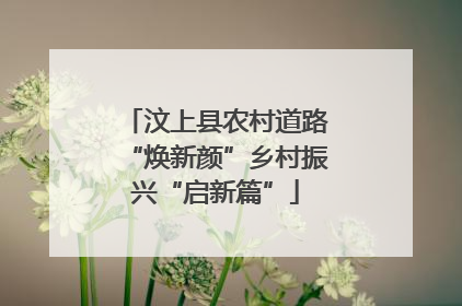 汶上县农村道路“焕新颜”乡村振兴“启新篇”