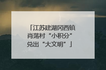 江苏建湖冈西镇肖荡村“小积分”兑出“大文明”