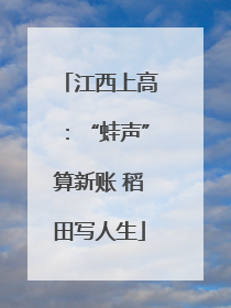 江西上高：“蛙声”算新账 稻田写人生