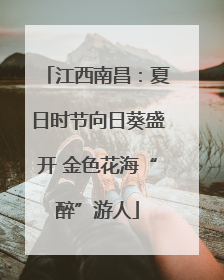 江西南昌：夏日时节向日葵盛开 金色花海“醉”游人