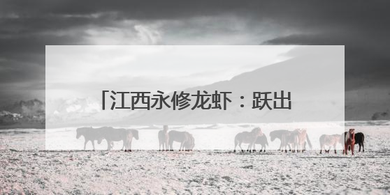 江西永修龙虾：跃出稻虾田 飘香京城宴