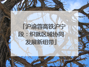 沪渝蓉高铁沪宁段：织就区域协同发展新纽带
