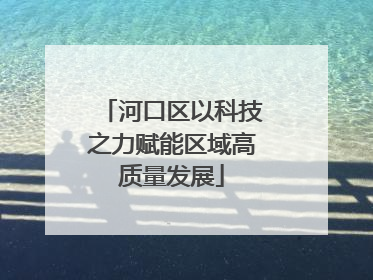 河口区以科技之力赋能区域高质量发展