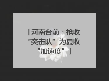 河南台前：抢收“突击队”为夏收“加速度”
