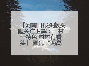 河南日报头版头题关注卫辉：一村一特色 村村有看头 ︳聚焦“两高四着力”·一“县”观察