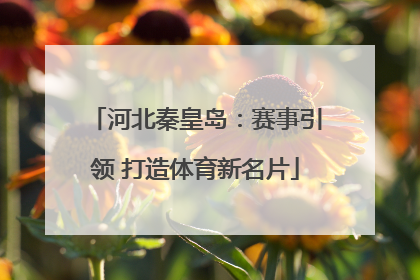 河北秦皇岛：赛事引领 打造体育新名片