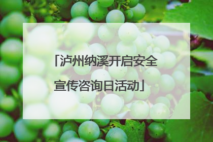 泸州纳溪开启安全宣传咨询日活动