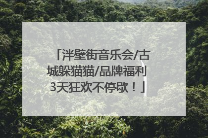 泮壁街音乐会/古城躲猫猫/品牌福利3天狂欢不停歇！