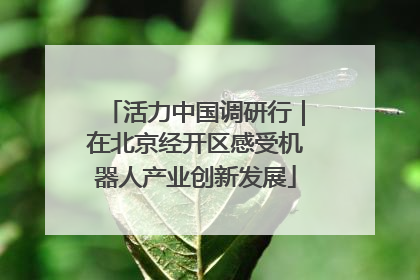 活力中国调研行｜在北京经开区感受机器人产业创新发展