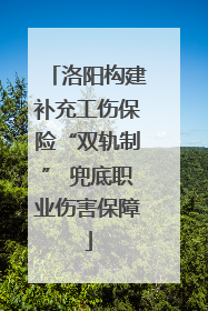 洛阳构建补充工伤保险“双轨制” 兜底职业伤害保障