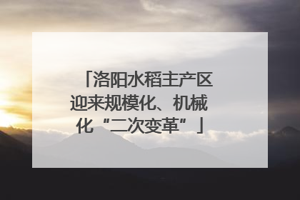 洛阳水稻主产区迎来规模化、机械化“二次变革”