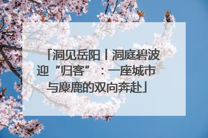 洞见岳阳丨洞庭碧波迎“归客”：一座城市与麋鹿的双向奔赴