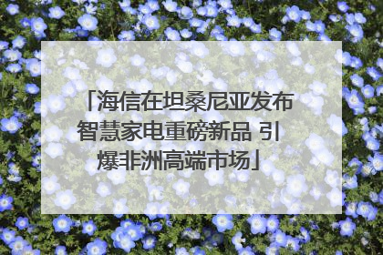 海信在坦桑尼亚发布智慧家电重磅新品 引爆非洲高端市场