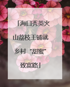 海口秀英火山荔枝王铺就乡村“甜蜜”致富路