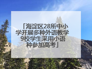 海淀区28所中小学开展多种外语教学 9校学生采用小语种参加高考