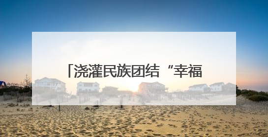 浇灌民族团结“幸福花” 浙江统一战线助力畲乡景宁展新貌