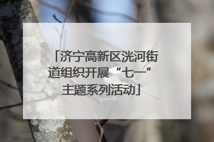 济宁高新区洸河街道组织开展“七一” 主题系列活动