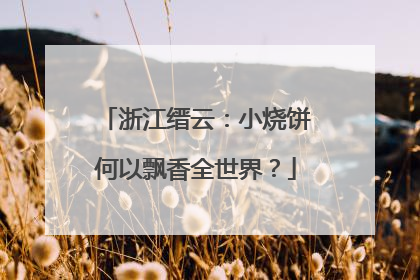 浙江缙云：小烧饼何以飘香全世界？