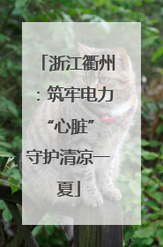 浙江衢州：筑牢电力“心脏” 守护清凉一夏