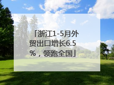 浙江1-5月外贸出口增长6.5%，领跑全国